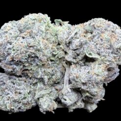 Photoroom 20260208 123012