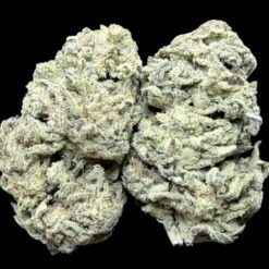 Photoroom 20260211 110540 1