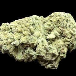 Photoroom 20260211 110601 1