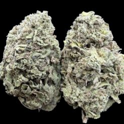 Photoroom 20260211 114857