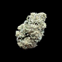 Photoroom 20260211 124648