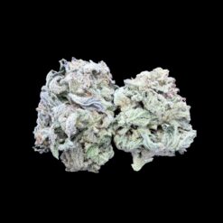 Photoroom 20260211 124728