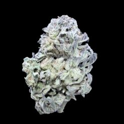 Photoroom 20260211 124823