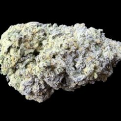 Photoroom 20260215 135355