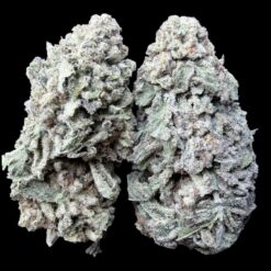 Photoroom 20260215 135530