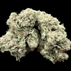 Ak49