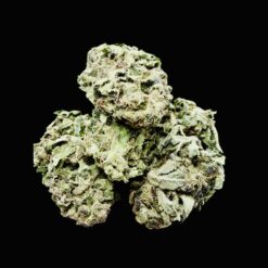 Captian future 🔥🔥🔥