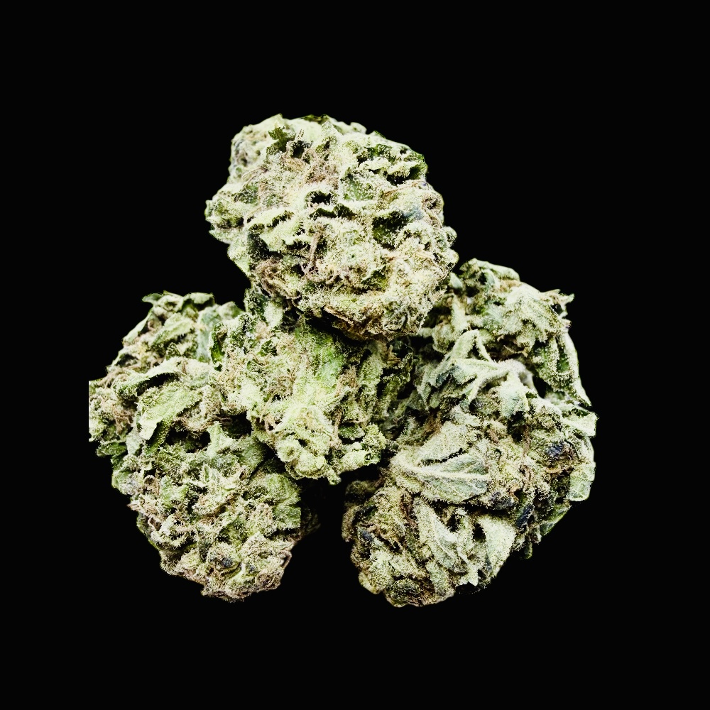 Photoroom_20260326_125623 Photoroom 20260326 125623 1