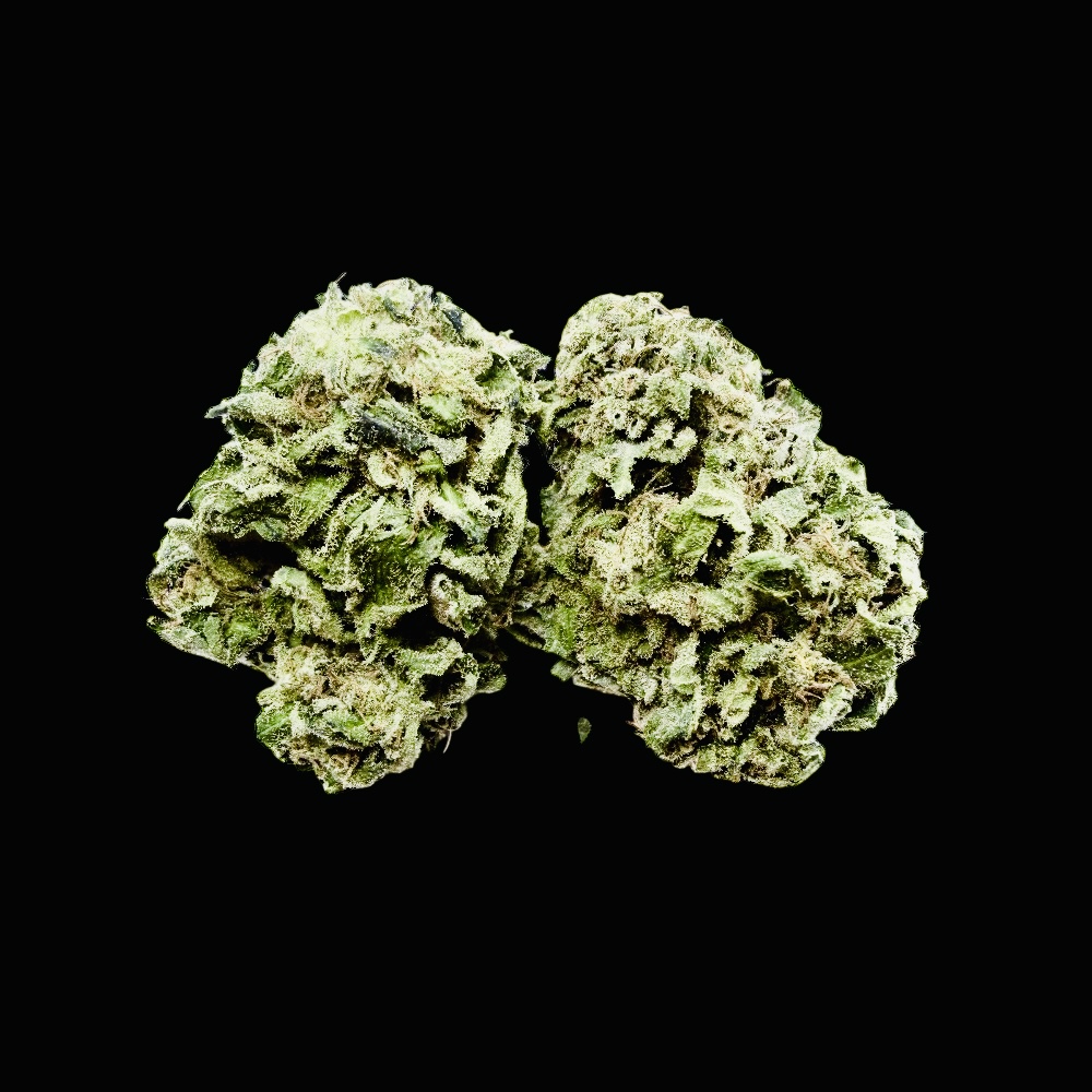 Photoroom_20260326_125752 Photoroom 20260326 125752 1