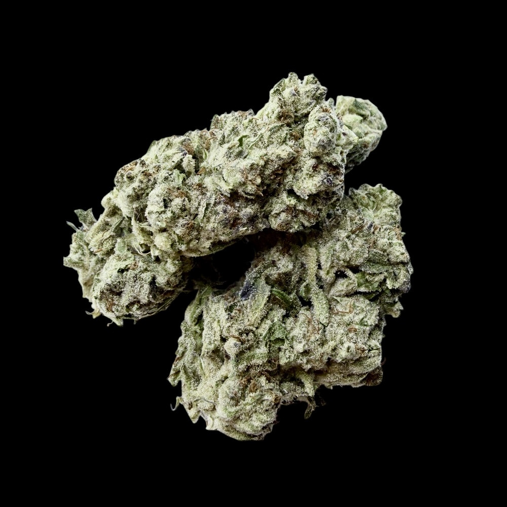 Photoroom_20260328_124629 Photoroom 20260328 124629