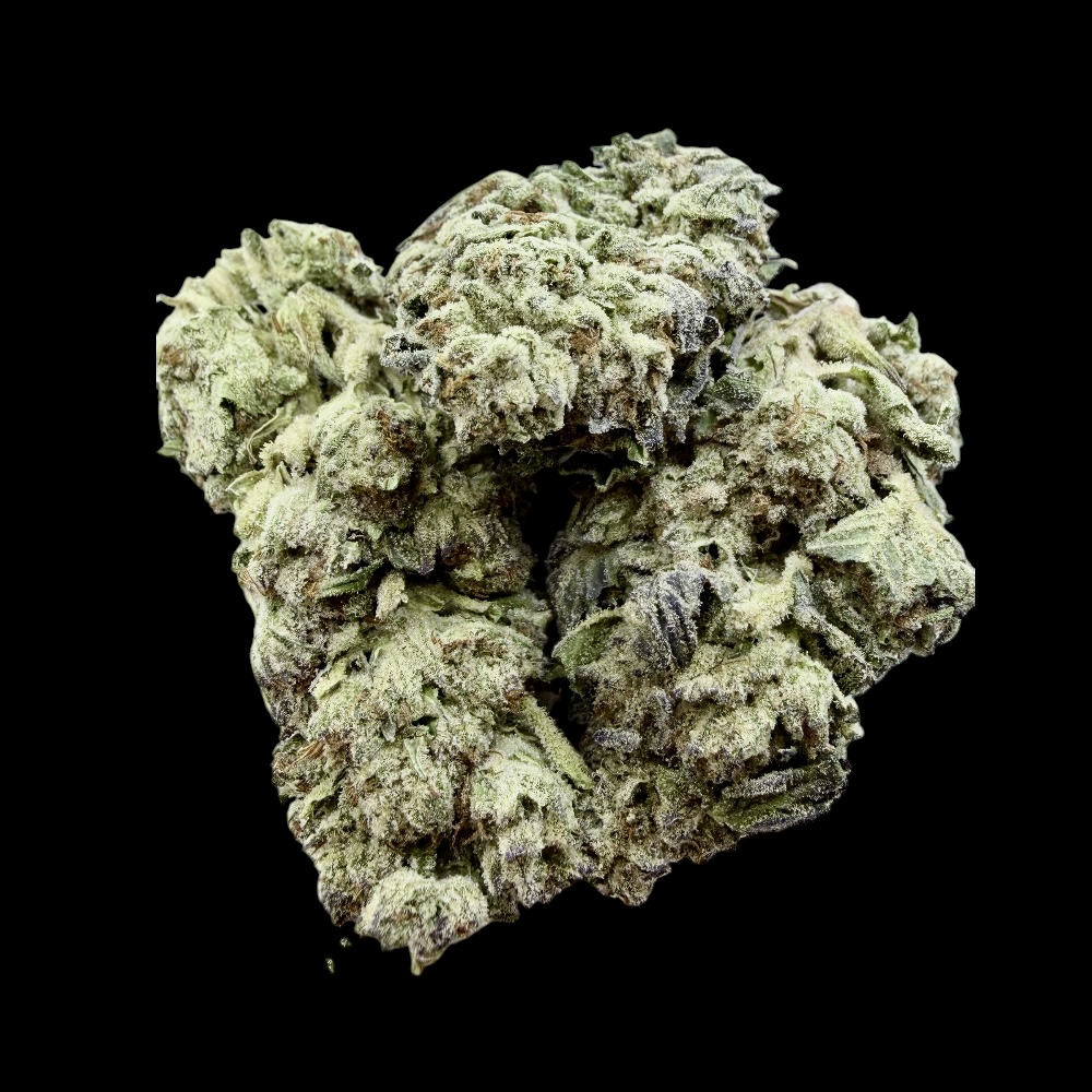 Photoroom_20260328_124712 Photoroom 20260328 124712