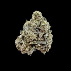 Photoroom 20260328 124738