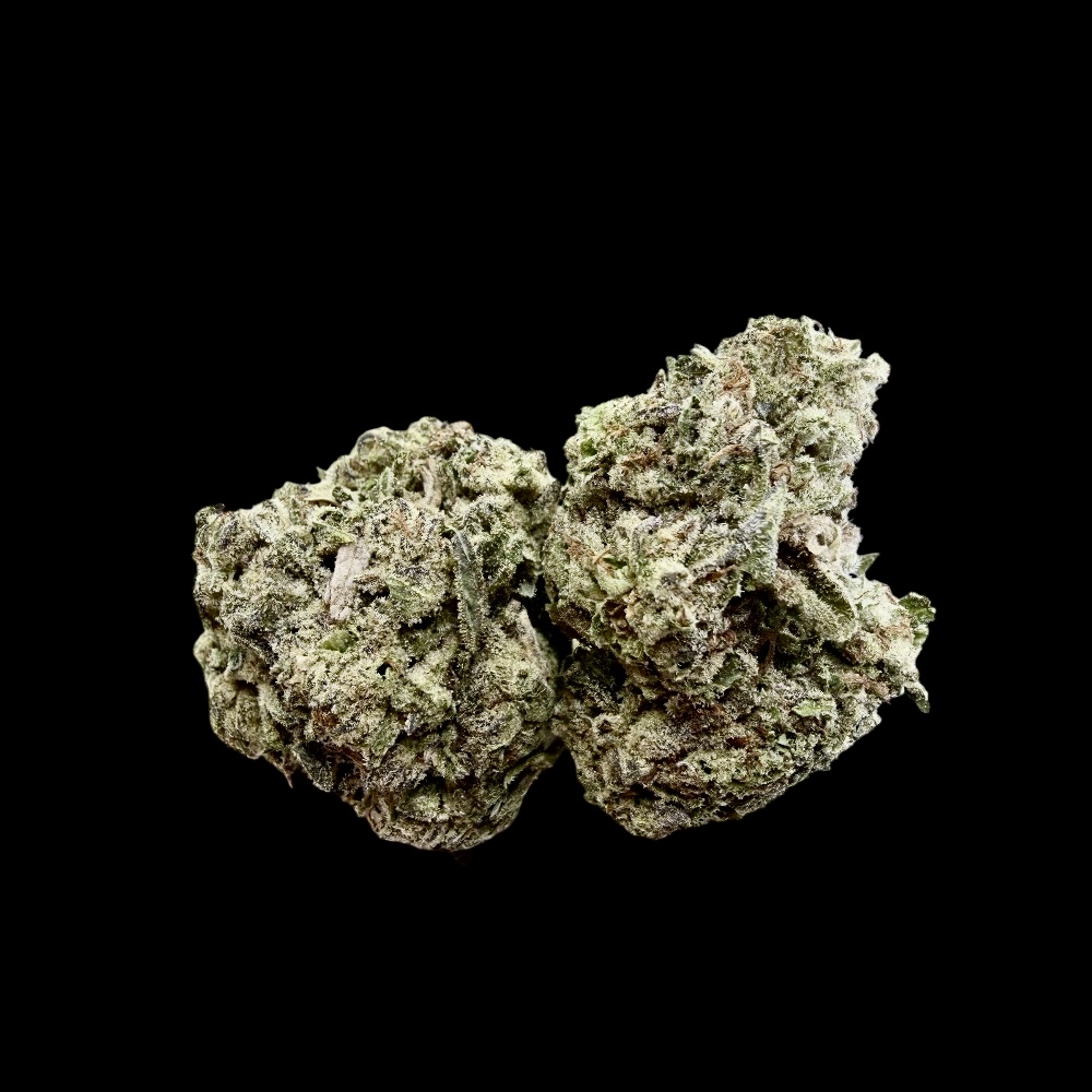 Photoroom_20260328_125143 Photoroom 20260328 125143