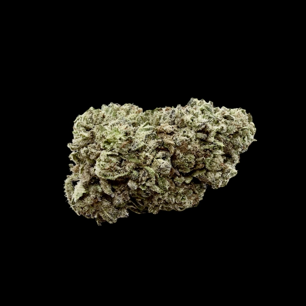 Photoroom_20260328_125223 Photoroom 20260328 125223