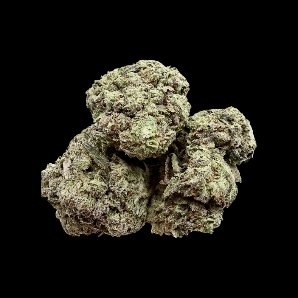 Photoroom_20260328_125245 Photoroom 20260328 125245