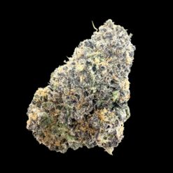 Goat Gas 2 IMG 2265