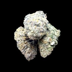 Goat Gas 3 IMG 2266