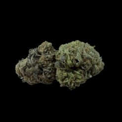 Photoroom 20260411 145710