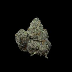 Rainbow o 3 Photoroom 20260411 150018