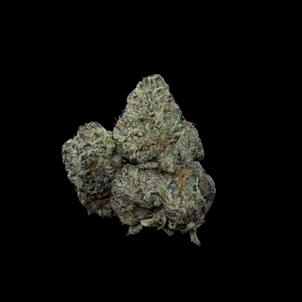 Photoroom_20260411_150018 Photoroom 20260411 150018