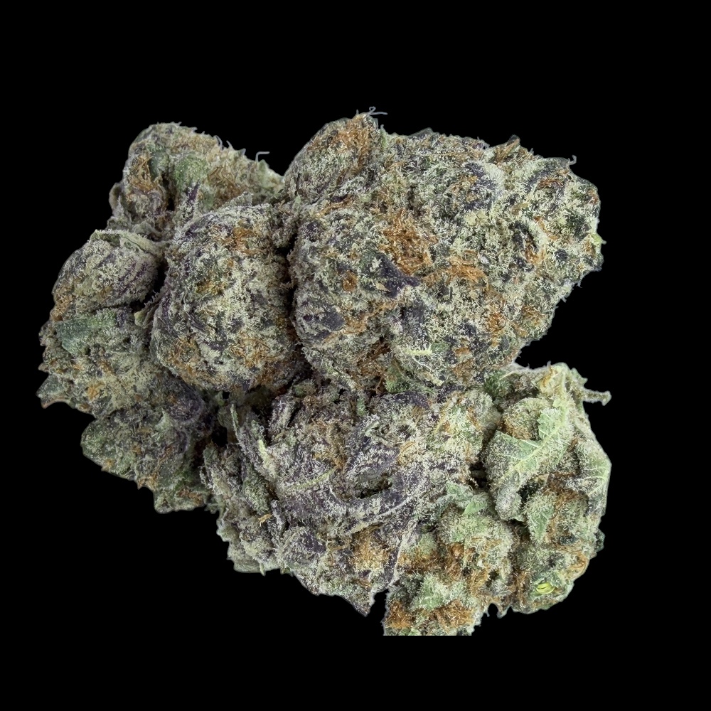 Photoroom_20260411_150045 Photoroom 20260411 150045