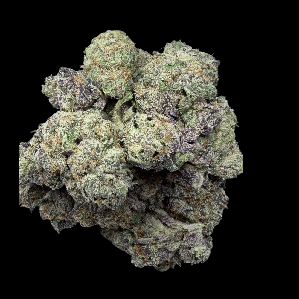 Photoroom_20260411_150128 Photoroom 20260411 150128