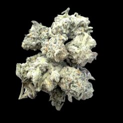 Photoroom 20260423 120308 1