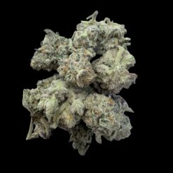 Photoroom 20260423 120308