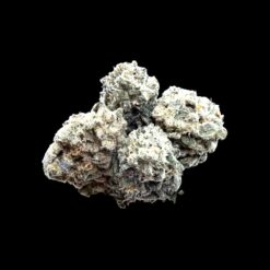 Photoroom 20260423 120341 2