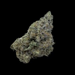 Photoroom 20260423 120431