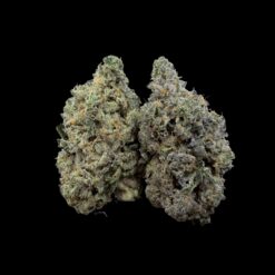 Photoroom 20260423 120454