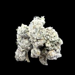 Photoroom 20260423 122859 2