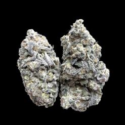 Photoroom 20260425 141043 1