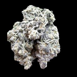 Photoroom 20260425 141106 1