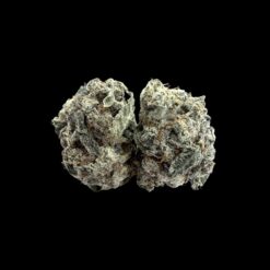 Photoroom 20260425 141154 1