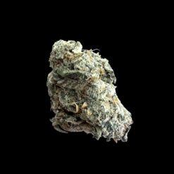 Photoroom 20260425 141211 1