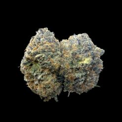 Photoroom 20260426 221126