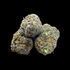 Photoroom 20260426 221152