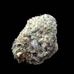 Photoroom 20260426 221224