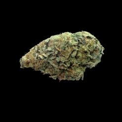 Photoroom 20260426 221447