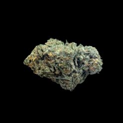 Photoroom 20260426 221624