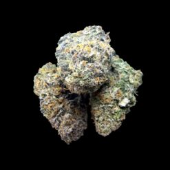 Photoroom 20260426 222212