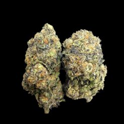 Photoroom 20260426 222632