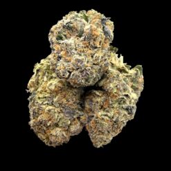 Photoroom 20260426 222702