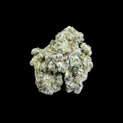 Photoroom 20260428 113430