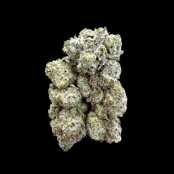 Photoroom 20260428 113535