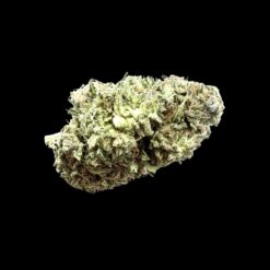 Bubblegum