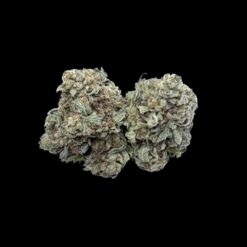 Photoroom 20260513 123554