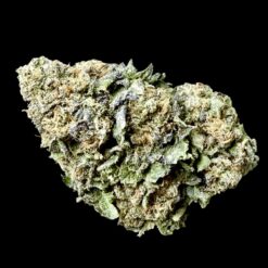 NYC Diesel