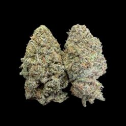 Dawg breath
